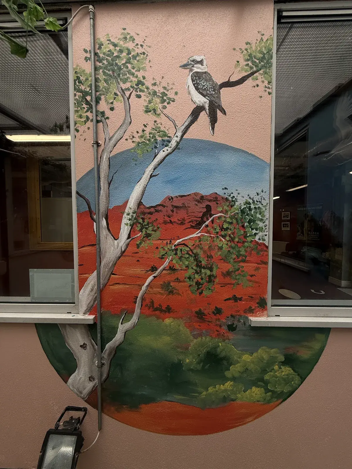 A kookaburra perched on a gum branch above a painted outback landscape