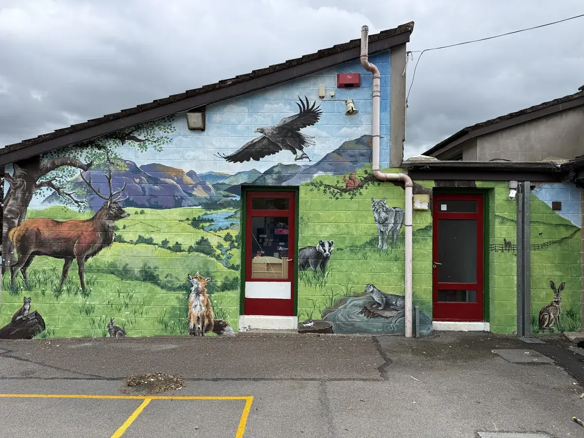 Irish wildlife mural across a school gable — a red deer stag, sea eagle, fox and badger